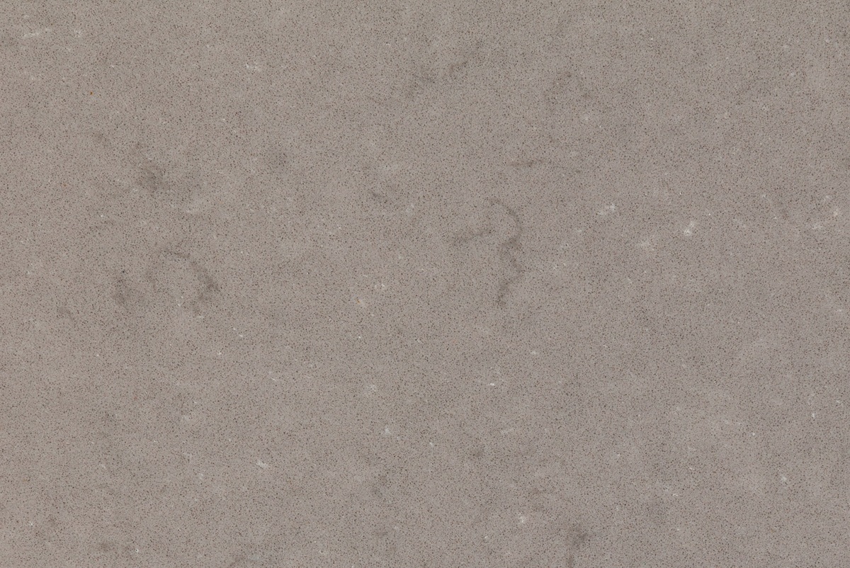 Nautilus - Fossil - Quartzforms2