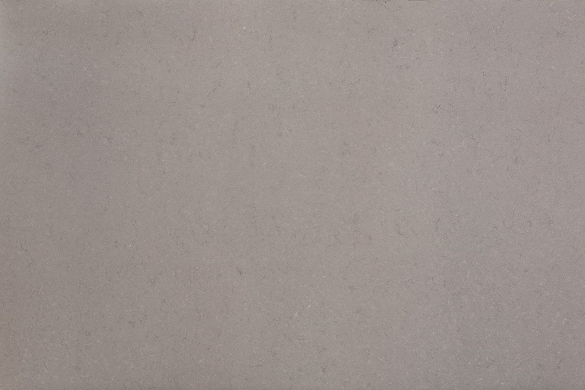 Nautilus - Fossil - Quartzforms